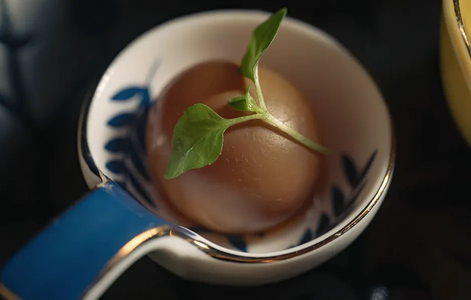 One of the appetizers at Yakitori Suzune